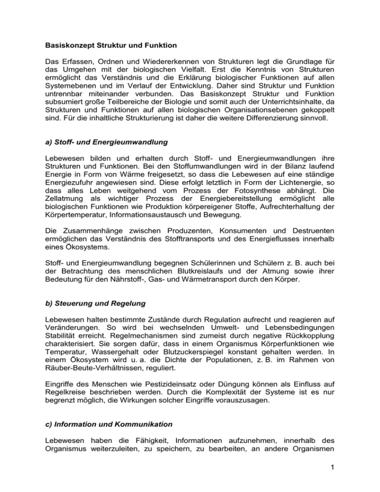 Basiskonzept Struktur Und Funktion Basiskonzept Struktur und Funktion