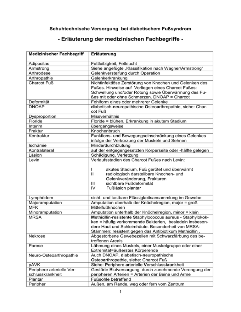 Erläuterung der medizinischen Fachbegriffe